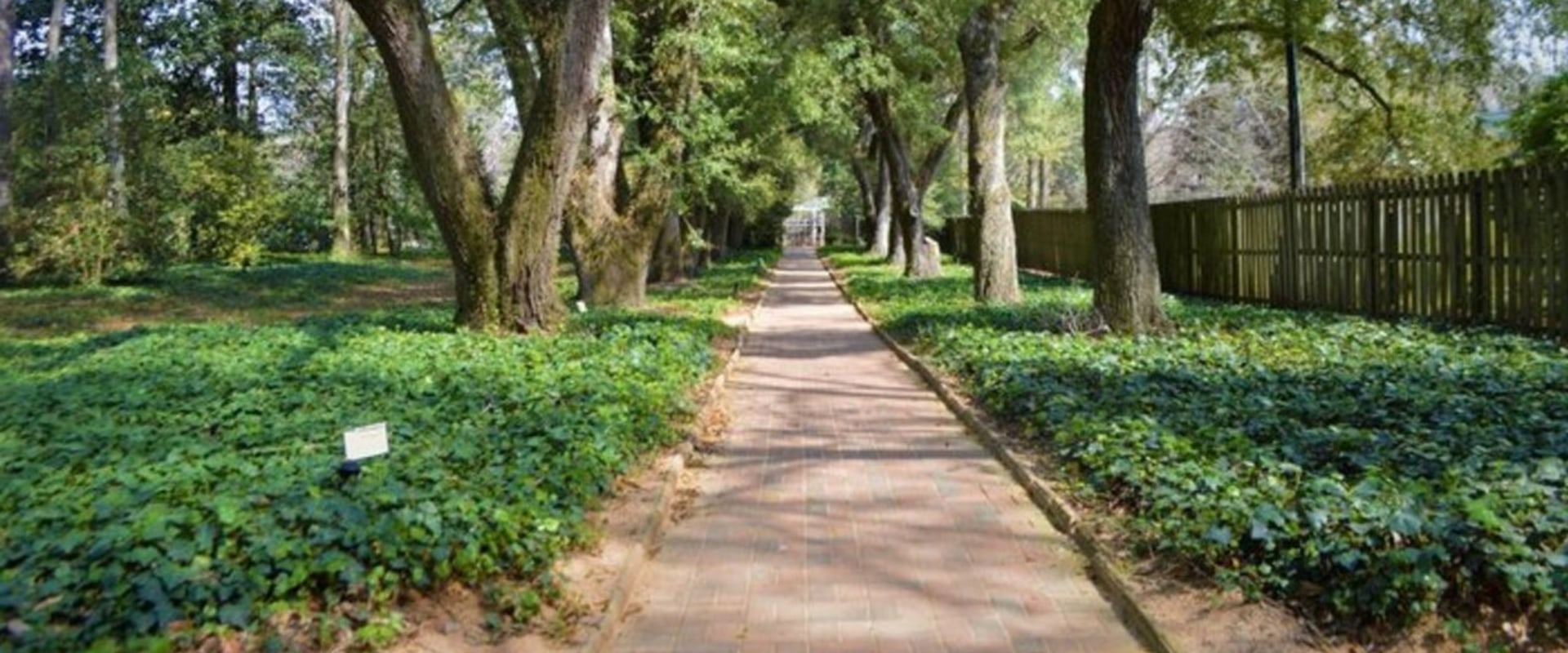 Exploring the Best Day Trips from Aiken, South Carolina