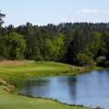 Discovering the Best Golf Courses and Country Clubs in Aiken, South Carolina
