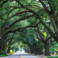 Discover the Best Things to Do in Aiken, SC