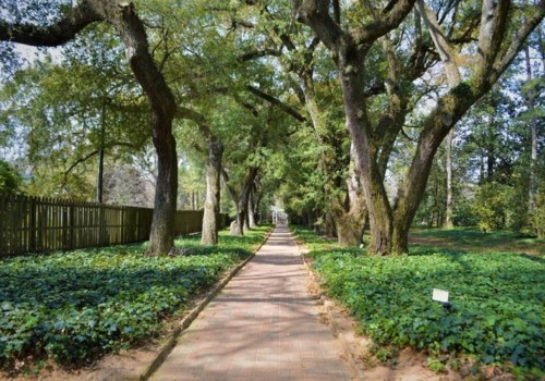Exploring the Best Day Trips from Aiken, South Carolina