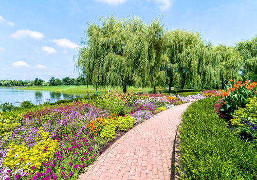 Discovering the Hidden Gems of Aiken: A Guide to the Botanical Garden and Arboretum